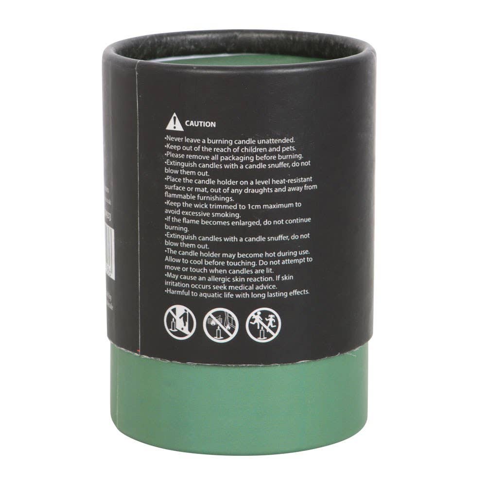 Dark Forest Luna Moth White Sage Candle