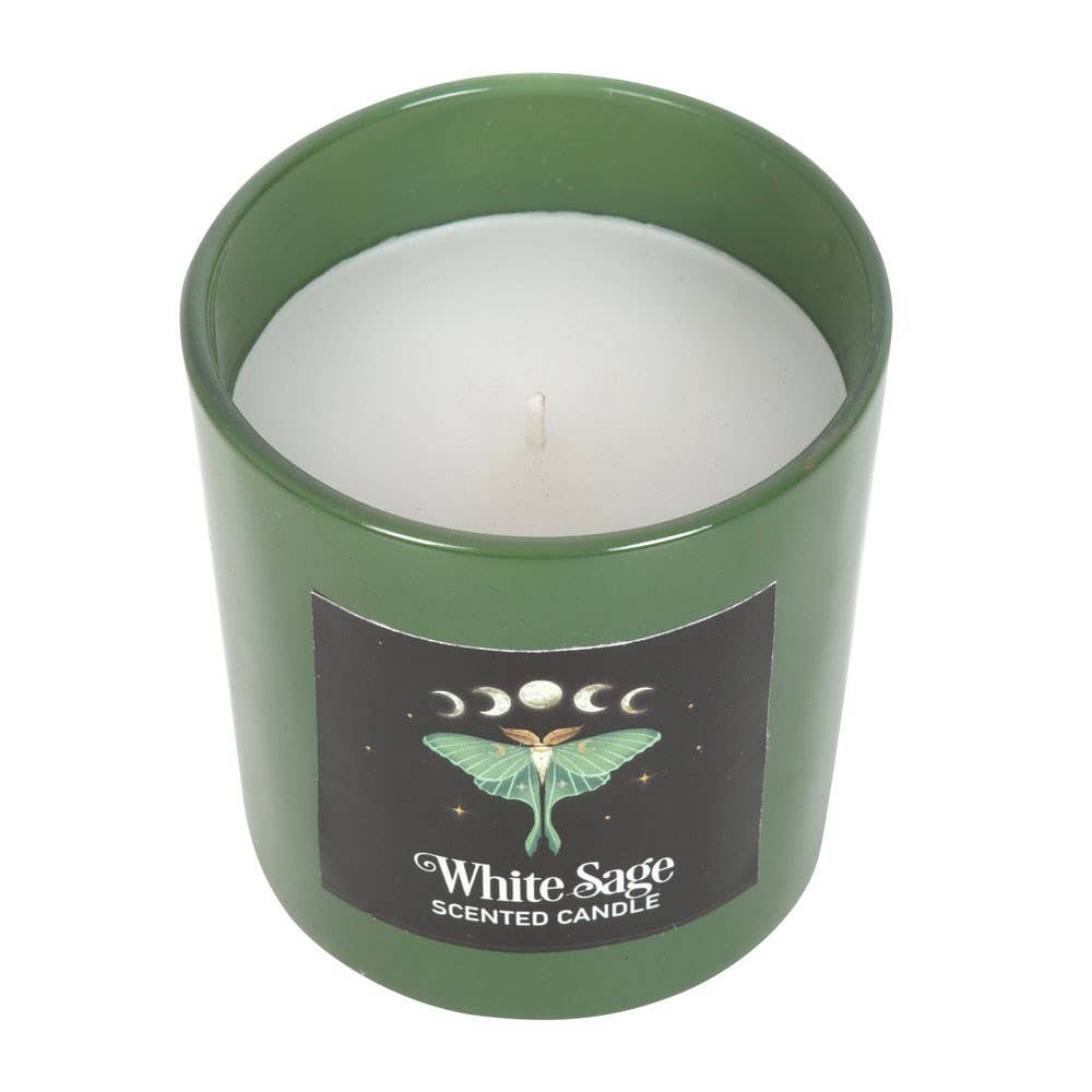 Dark Forest Luna Moth White Sage Candle
